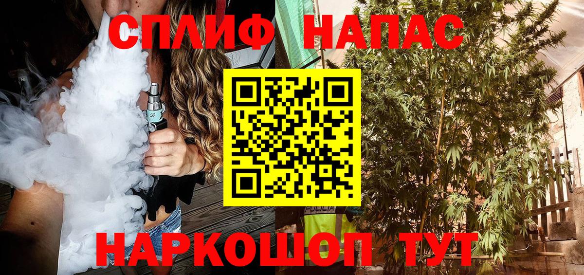 Унеча  Канабис конопля  Каннабис планчик  Вход с VPN  Бошки Шишки гибрид 